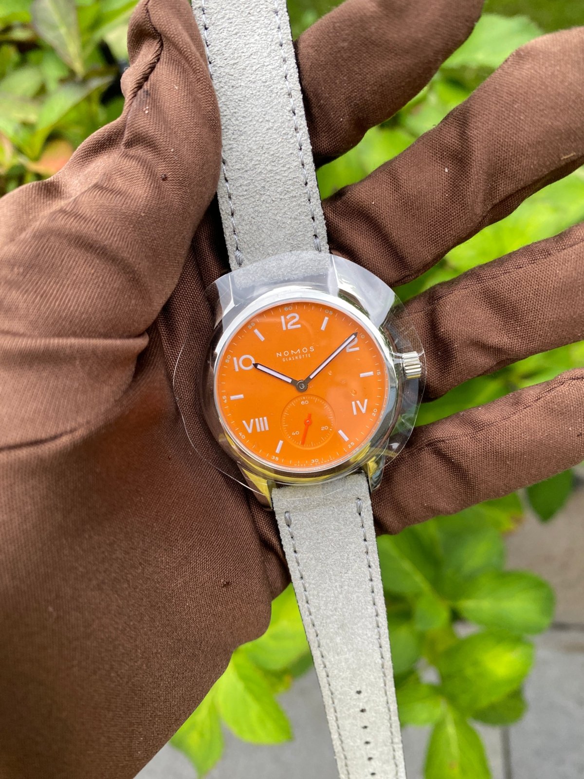 Club Campus 36 - Future Orange - Duci Watches