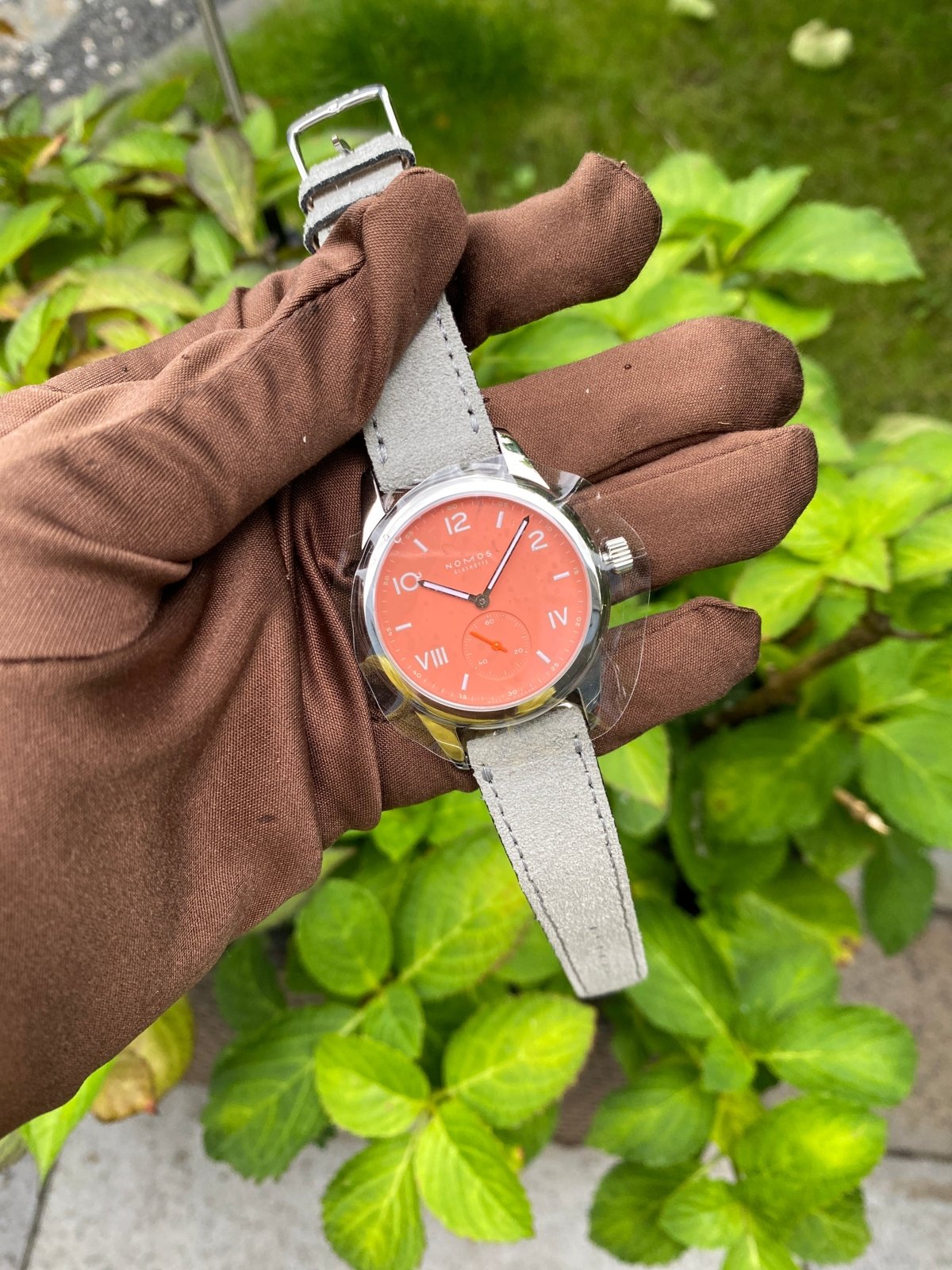 Club Campus 36 - Cream Coral - Duci Watches