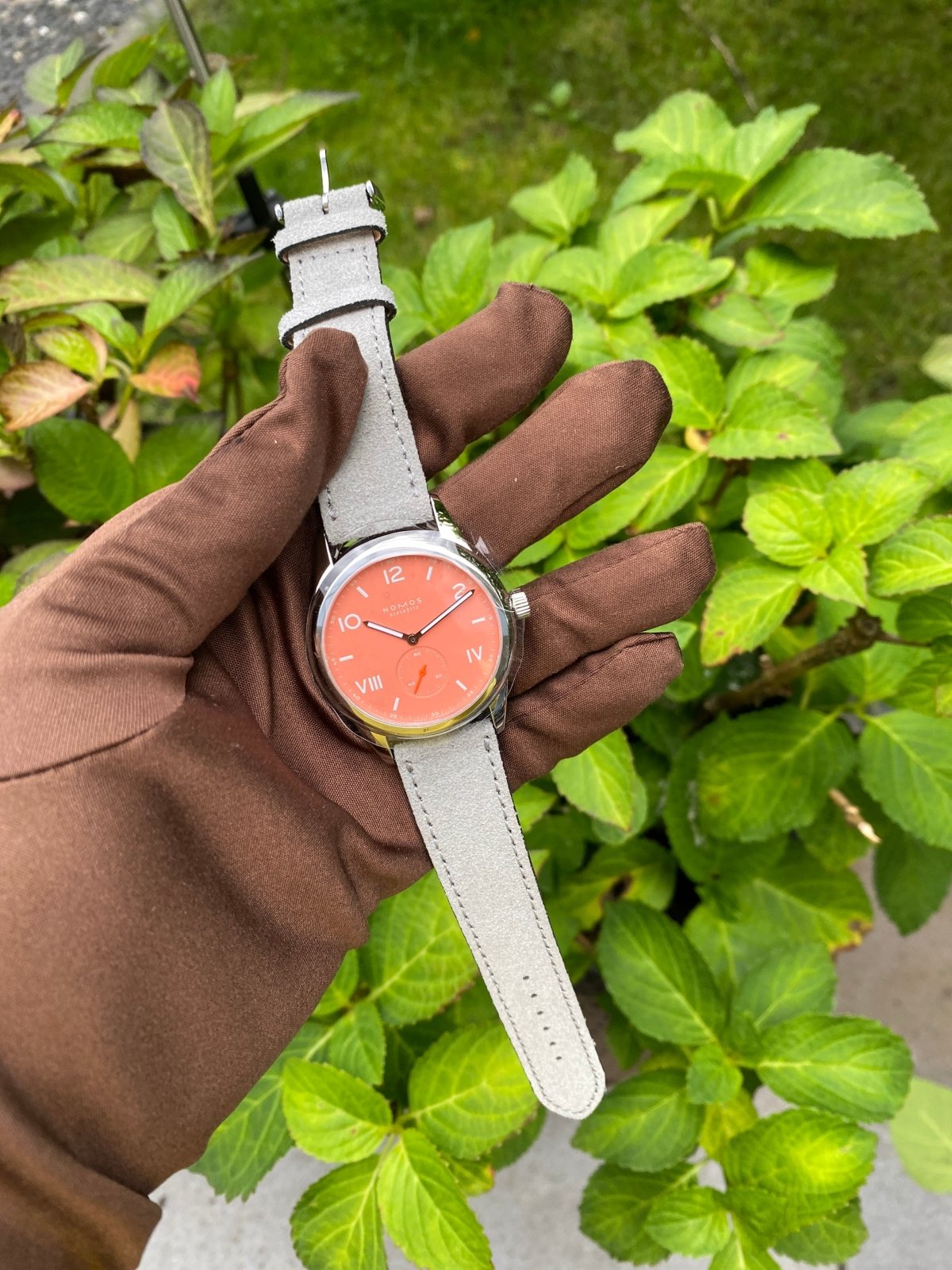 Club Campus 38 - Cream Coral - Duci Watches